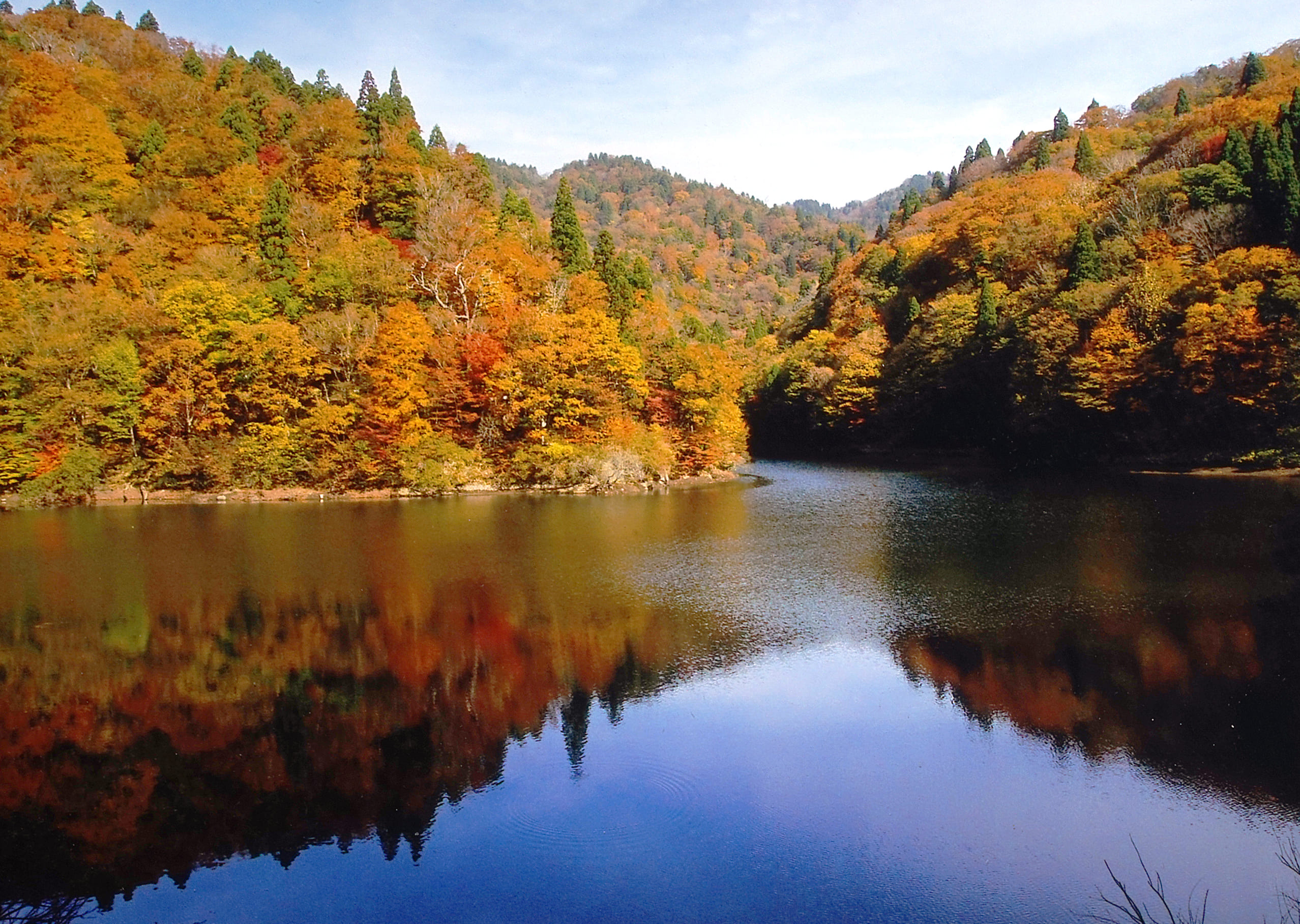 智頭 町