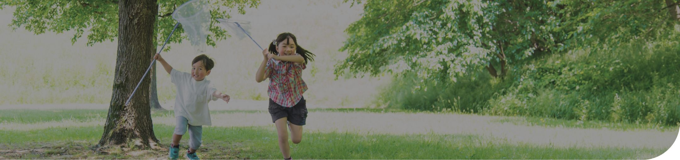Header background Image