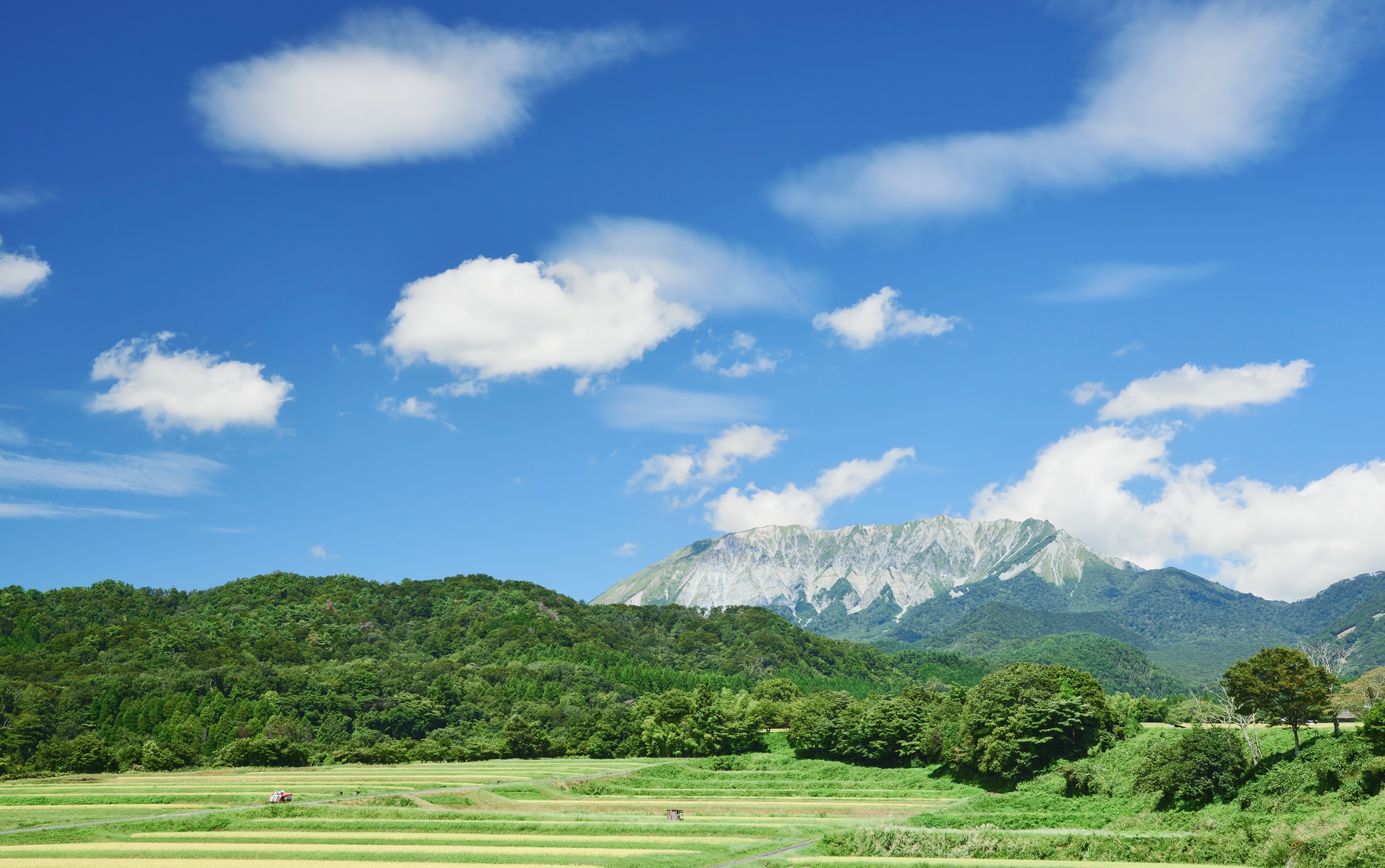 大山（鳥取県 江府町）